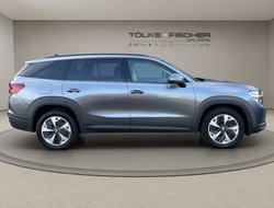 Kodiaq 2.0 TDI DSG ACC Navi HUD Matrix eHeck
