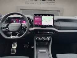 Kodiaq Sportline DCC AHK Navi eHeck ACC