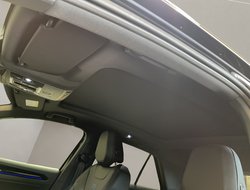 T-Roc 2.0 TSI R 4Motion DCC Sportp. Virtual ACC