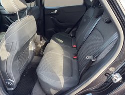 Puma 1.0 EcoBoost Titanium ACC AHK Navi KlimaA.