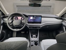 Octavia Combi Tour ACC AHK Navi 360° eHeck Matrix