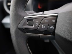 Arona 1.0 TSI Road Edition FREI KONFIGURIERBAR