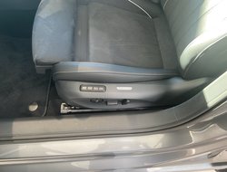 Passat Variant 2.0 TDI W Business DCC ACC AHK LM