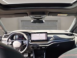 Octavia Combi 2.0 TSI DSG RS ACC AHK Navi 360