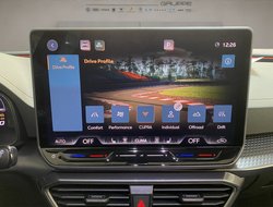 Formentor 2.0 TSI 4Drive VZ DCC ACC AUT Kam.
