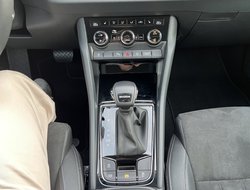 Karoq 2.0 TDI DSG AHK Navi Standh. Matrix ACC