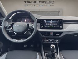 Kamiq Tour ACC AHK Virtual LED LM