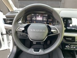 Kamiq Tour ACC Virtual LED LM PDC