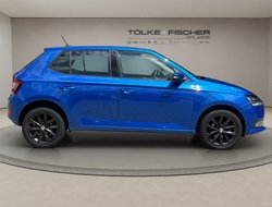 Fabia 1.0 TSI Green tec Style Kam. LM SHZ