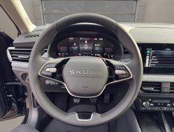 Kamiq Tour ACC AHK Virtual LED LM