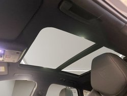 Terramar 1.5 VZ DCC ACC AHK AUT Kam. Pano LED