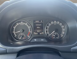Fabia Combi RS Climatronic PDC GRA SHZ