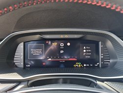 Octavia Combi 2.0 TSI DSG RS ACC AHK Navi 360