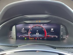 Kamiq 1.0 TSI DSG Monte Carlo ACC AHK Kamer eHeck