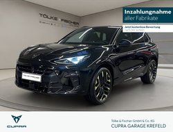 Terramar 1.5 ACC AHK AUT Kam. Sportp. Virtual