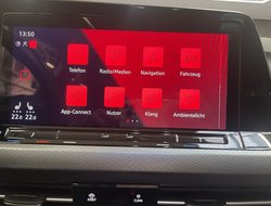 Golf VIII 2.0 TDI Active IQLight ACC AHK AUT HUD