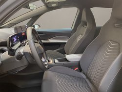 Born 170 (77kWh) ACC AUT Kam. Navi Sportp. 360