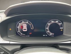 Terramar 1.5 VZ DCC ACC AHK AUT Kam. Navi HUD