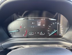 Puma 1.0 EcoBoost Titanium ACC AHK Navi KlimaA.