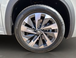 Kodiaq Sportline Navi Pano DCC AHK Standh.