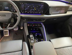 Q5 2.0 TDI quattro W Pano AHK Navi Pano Standh.