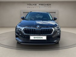 Karoq 1.5 TSI DSG Balance ACC AHK Navi eHeck