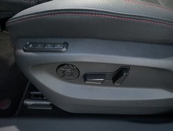 Kodiaq RS Pano AHK Navi Standhz 360° eHeck