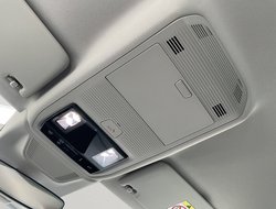 Octavia Combi Tour ACC AHK Navi 360° eHeck Matrix