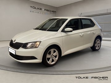 Fabia 1.0 TSI Cool Edition LM PDC – Bild 2