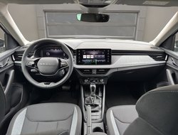 Kamiq 1.0 TSI DSG Balance ACC AHK AUT Kam. Navi