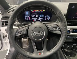 A4 40 2.0 TFSI Avant quattro S-Line Pano S-line