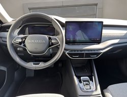 Octavia Combi 2.0 TDI W Selection ACC AHK AUT LM