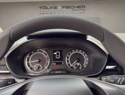 Fabia 1.0 MPI Active AHK LED PDC SHZ Winterp.