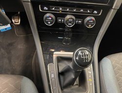 Golf VII 1.0 TSI BMT IQ.DRIVE ACC DynLicht LM