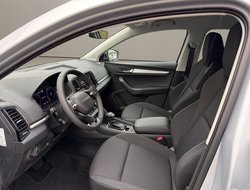 Karoq Tour DSG ACC AHK Navi LED