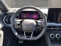 Kodiaq Sportline Navi Pano DCC AHK Standh.