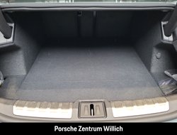 Taycan Surround-View LED-Matrix Panoramadach