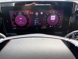 Kodiaq Sportline Navi Pano DCC AHK Standh.