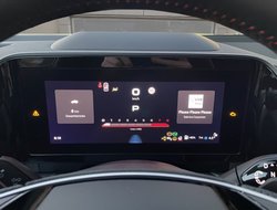 Kodiaq RS Pano AHK Navi Standhz 360° eHeck