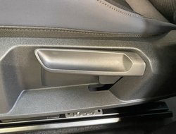 Terramar 1.5 ACC AUT Kam. Sportp. Virtual LED