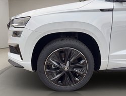 Karoq Sportline DCC Pano AHK Kamera eHeck