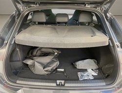 Terramar 1.5 VZ DCC ACC AHK AUT Kam. Pano LED