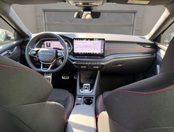 Octavia Combi 2.0 TSI  W RS ACC AHK AUT Kam. LED