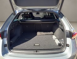 Octavia Combi RS Pano AHK Navi 360 Massage
