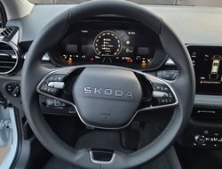 Fabia 1.0 TSI Tour ACC Kamera DynLicht LED LM