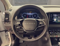 Karoq Balance DSG ACC AHK Navi LED