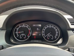 Fabia 1.0 TSI Green tec Style Kam. LM SHZ
