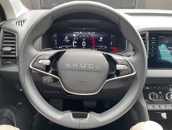 Karoq 2.0 TDI 4x4 Selection ACC AHK AUT Navi LED