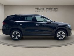 Kodiaq 2.0 TDI DSG 4x4 ACC AHK Navi Matrix eHeck