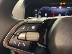 Karoq Balance DSG ACC AHK Navi LED